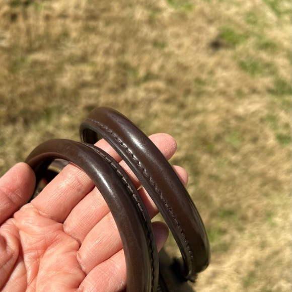 Mini Ribera in DE - Picture 14 of 15